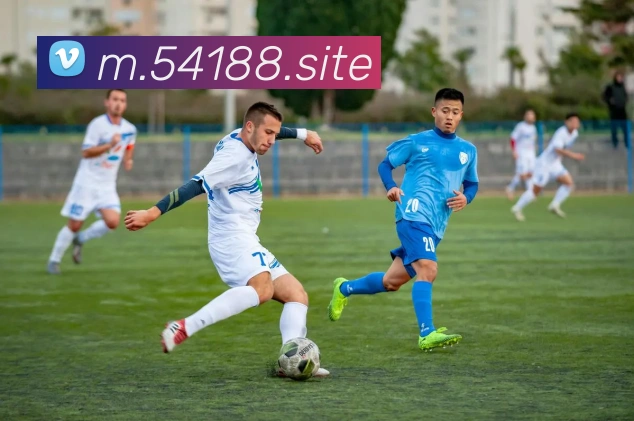 澳门线上娱乐服务体系
